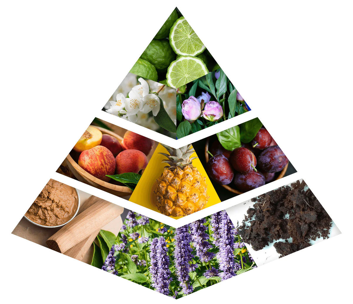 Fragrance Notes